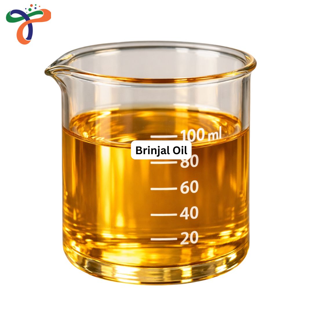 Brinjal Oil